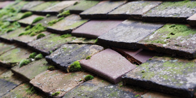 Tregare roof repair costs